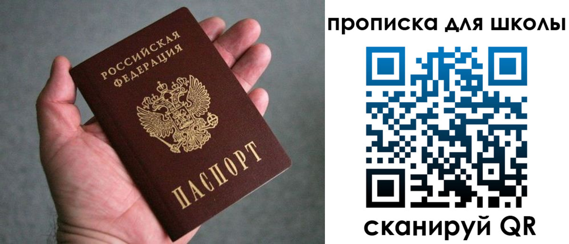 прописка штамп в Зверево